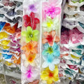 Hawaiian Claw Clips